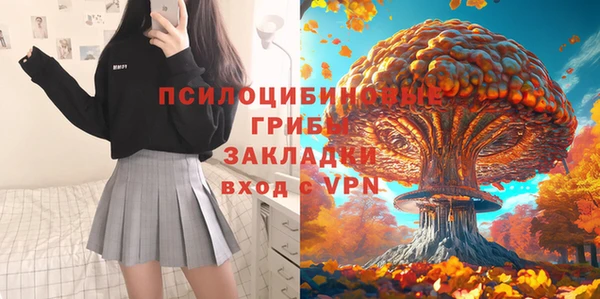ПСИЛОЦИБИНОВЫЕ ГРИБЫ Володарск