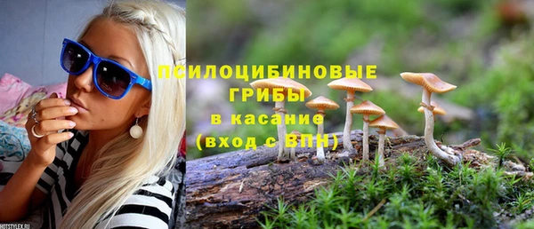 МДПВ Волосово
