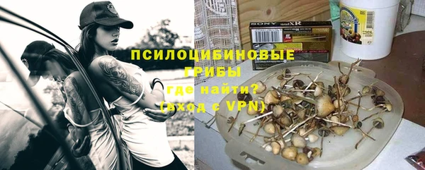 ПСИЛОЦИБИНОВЫЕ ГРИБЫ Володарск