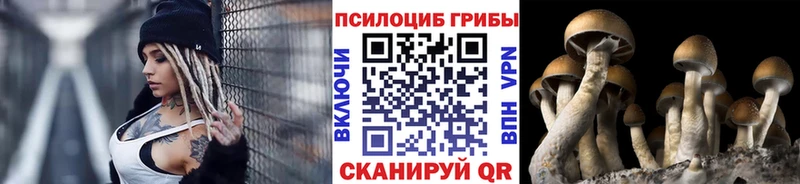 Псилоцибиновые грибы Magic Shrooms  где купить наркоту  Омск 