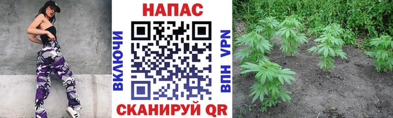 мега ONION  Омск  Канабис гибрид 